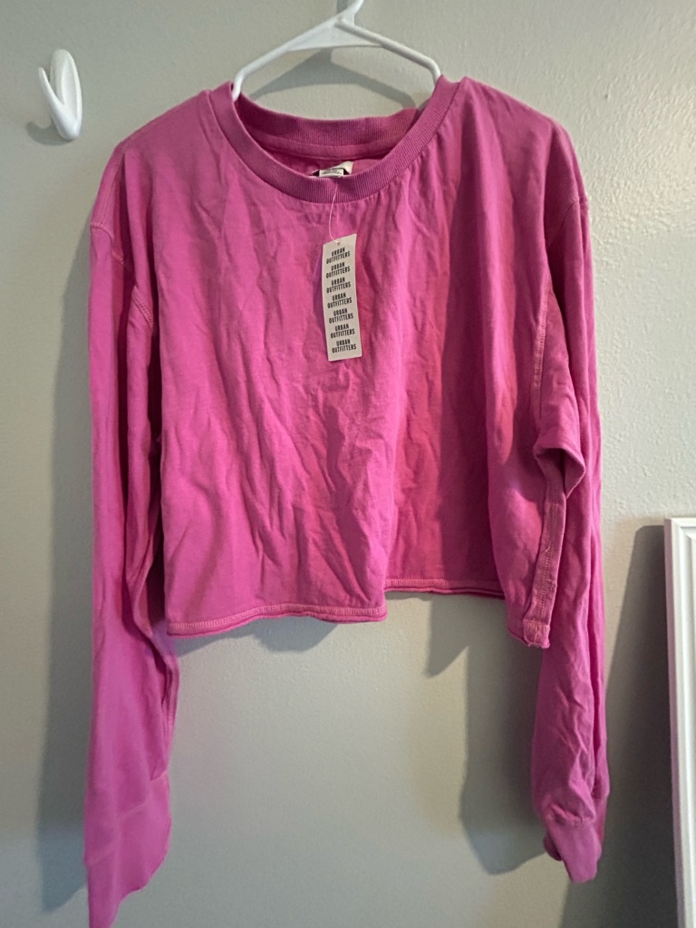 Urban Outfitters Pink Cropped Long-Sleeve Tee